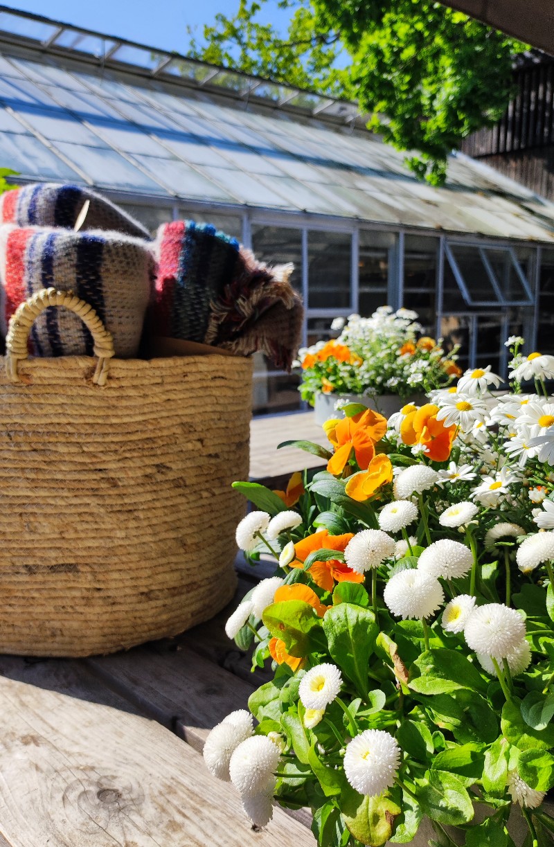 Rosendals trädgård  tukholma