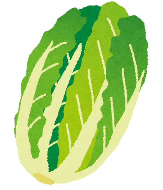 白菜のイラスト 野菜 かわいいフリー素材集 いらすとや 白菜のイラスト 野菜 かわいいフリー素材集 いらすとや