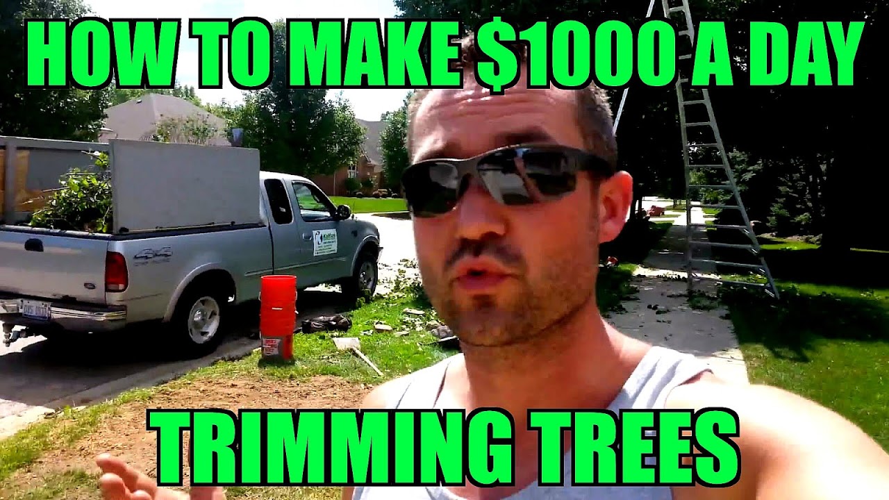 Starting A Tree Service