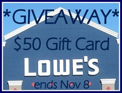 800px-Loweswarehouse-1