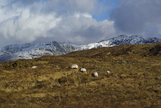 Connemara National Park, Ireland 