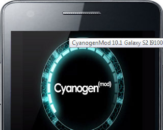 how to install cm10.1 on galaxy s2