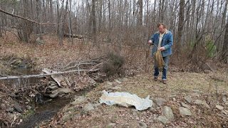 throwing sticks