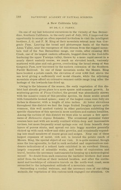 Первое описание лилии Пэрри в 1878 году и рисунок