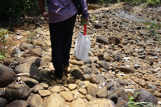 A man walking along a dry river bed of rounded pebbles carrying a couple of green mangoes and a white sack-bag of bread