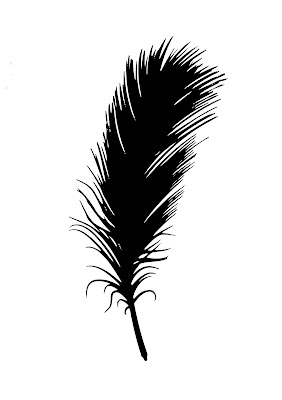 silhouette, feather, airy, featherweight, flying, wind, nature, ostrich feather, fluffy, swing, lightweight