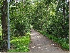 P8210655