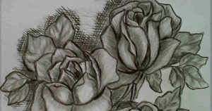 Fantastis 28 Lukisan Pensil Bunga Mawar Klasik Gambar 