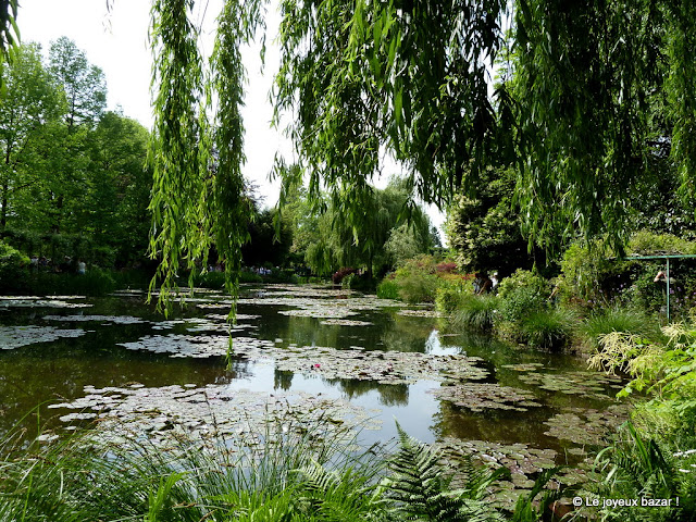 Giverny - maison et jardin de Claude Monet - le jardin d'eau - les nympheas