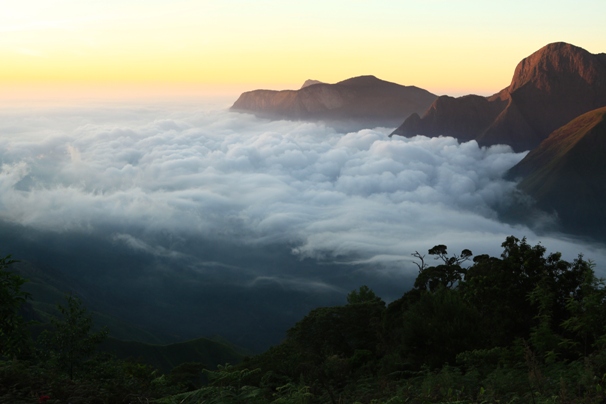 http://www.theholidayindia.com/blog/munnar-tour-packages