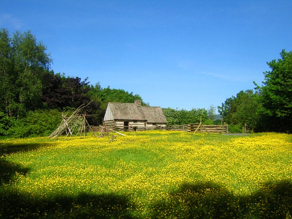 Ireland Landscape