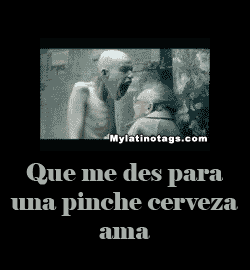Imágenes con frases groseras para dedicar frases amor 