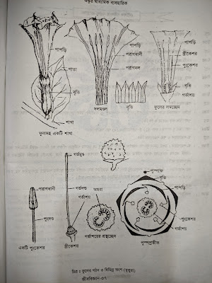 Biology_04