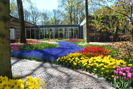 1 .Glória Ishizaka - Keukenhof 2015 - 14