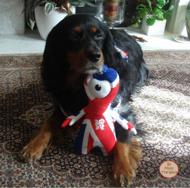 5 Molly The Wally Wrestles Wenlock The London 2012 Olympic Games Mascot.