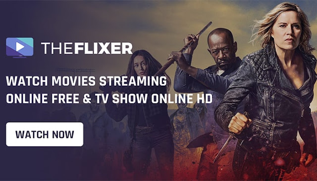 TheFlixer tv, theflixer se, What is it, Is it Safe to Watch Movies Online, theflixer alternatives: eAskme
