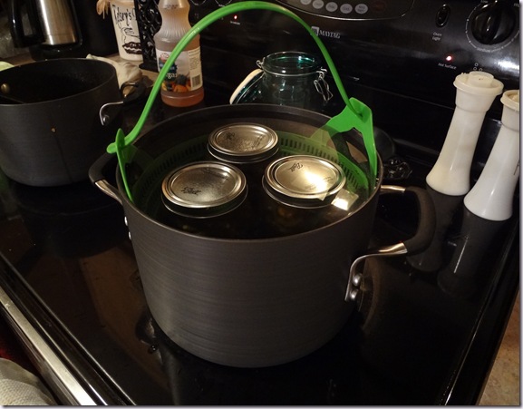 Canning Jalapenos 2011 (4)
