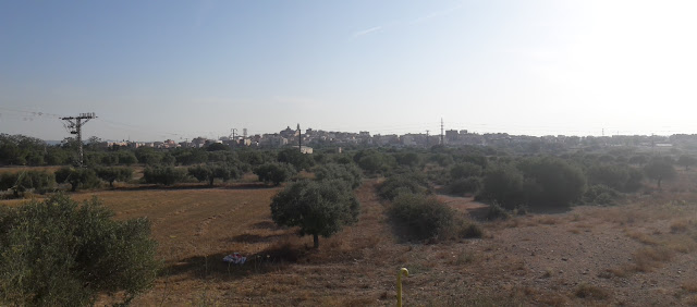 Tarragona a Cambrils seguint el GR-92, Constantí des del pont sobre l'autopista AP-7