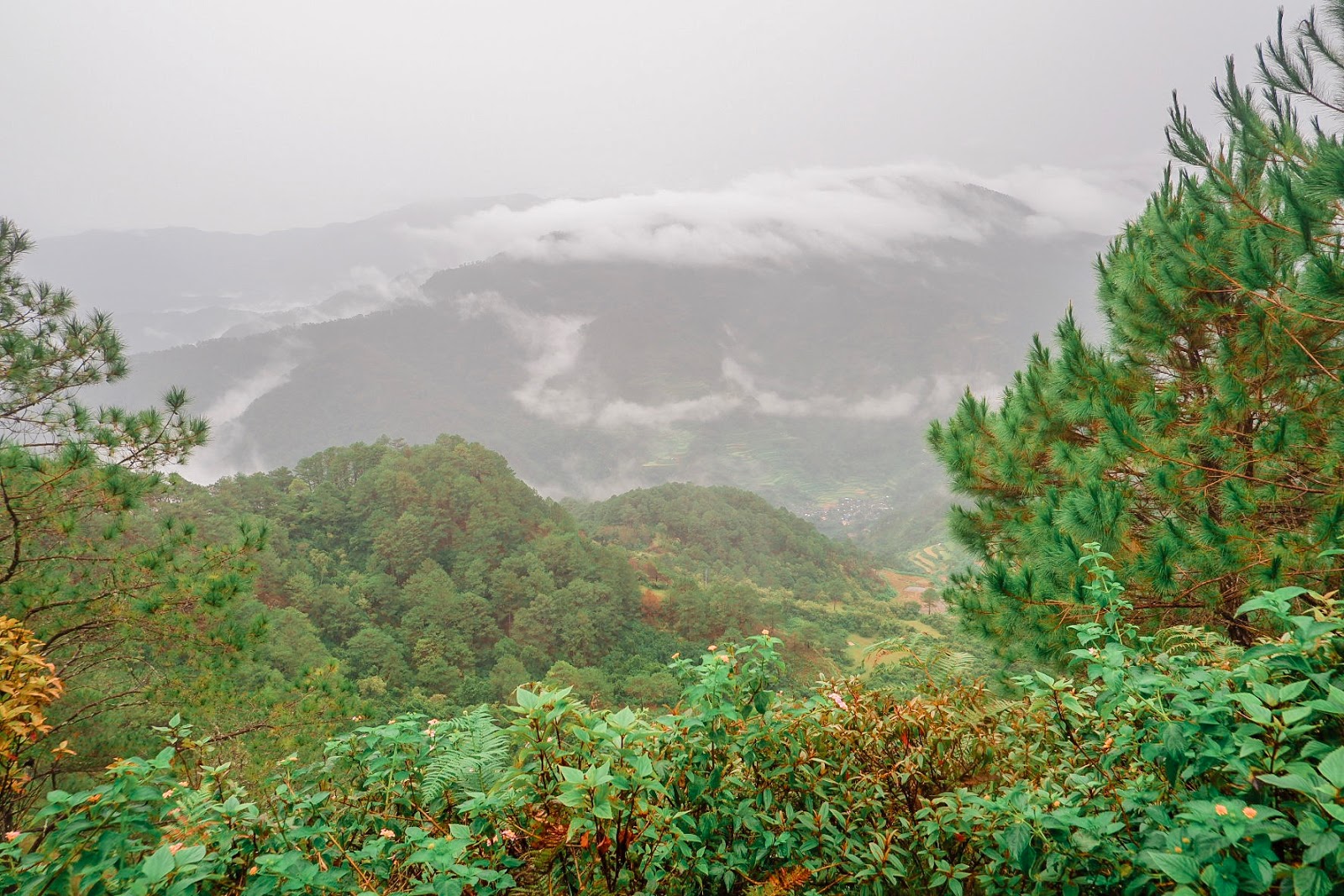 Marlboro Hills, The Unexpected 4N3D Baguio-Sagada Adventure