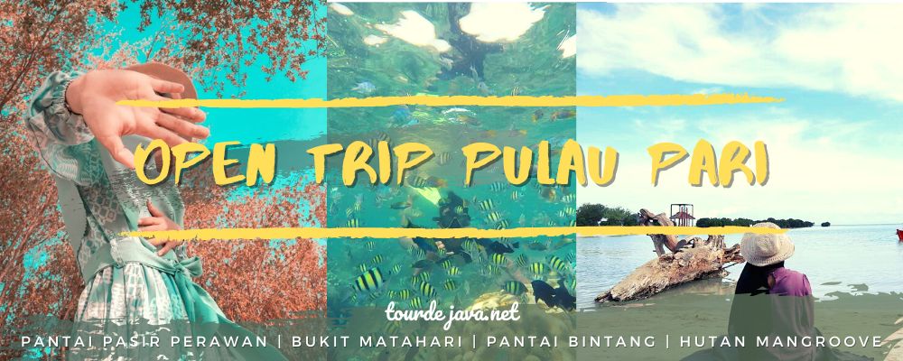 pulau pari kepulauan seribu