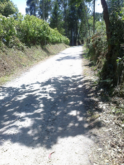 Camino hacia Maianca Oleiros
