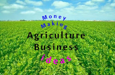 Top 20 profitable agriculture business ideas