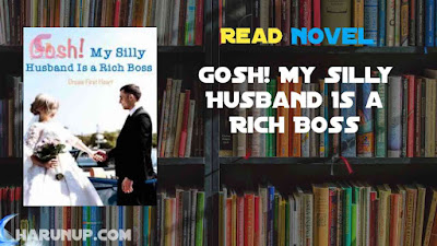 Read Gosh! My Silly Husband Is a Rich Boss Novel Full Episode