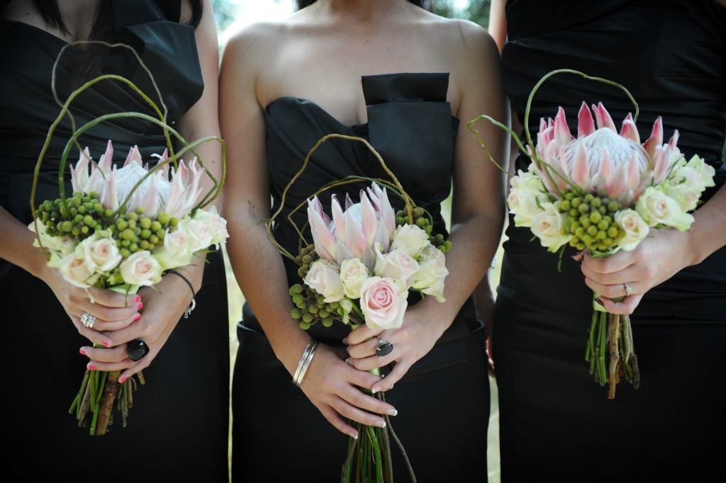 types of flowers to give White Protea Wedding Bouquet | 1024 x 682