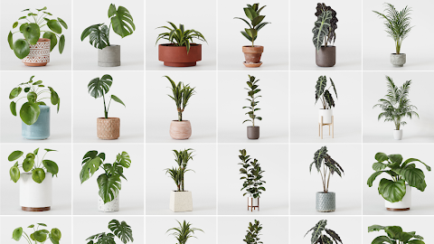 Interior Plants Pack 01