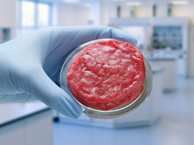 La llegada de la carne artificial y sus consecuencias para la ganadería