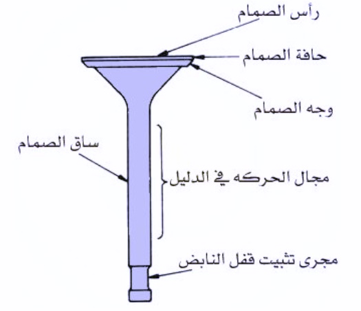 اجزاء الصمام او الصباب