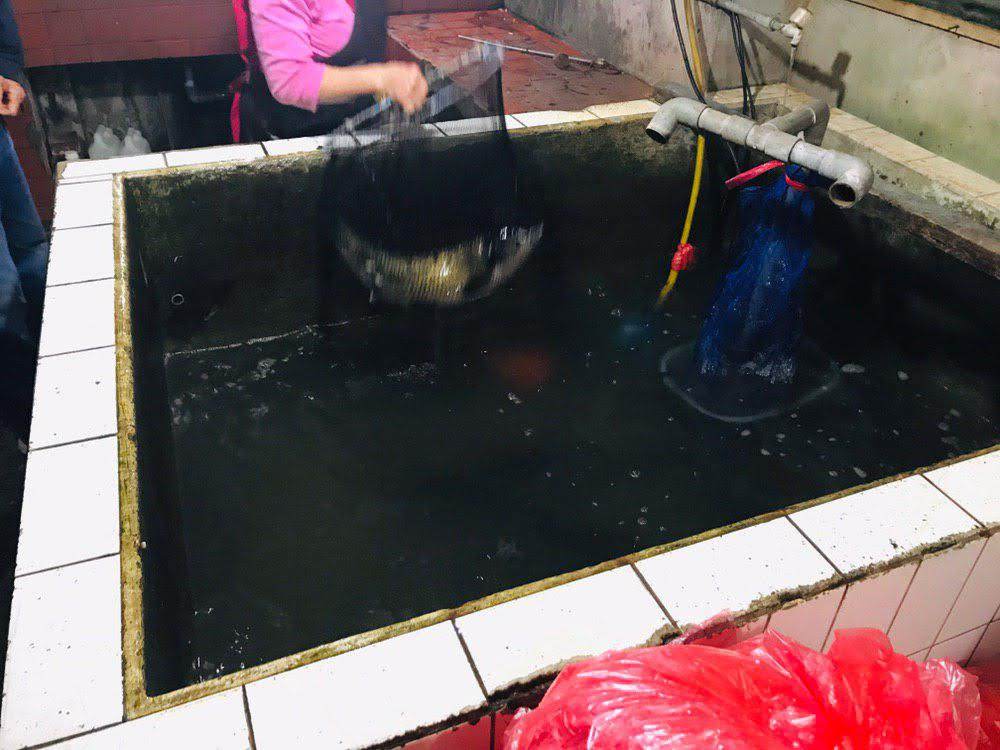 【桃園美食】龍潭石門水庫「大石門活魚餐廳」