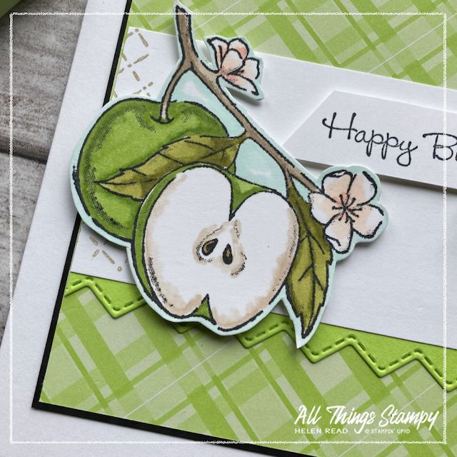 Apple Harvest Stampin Up card ideas