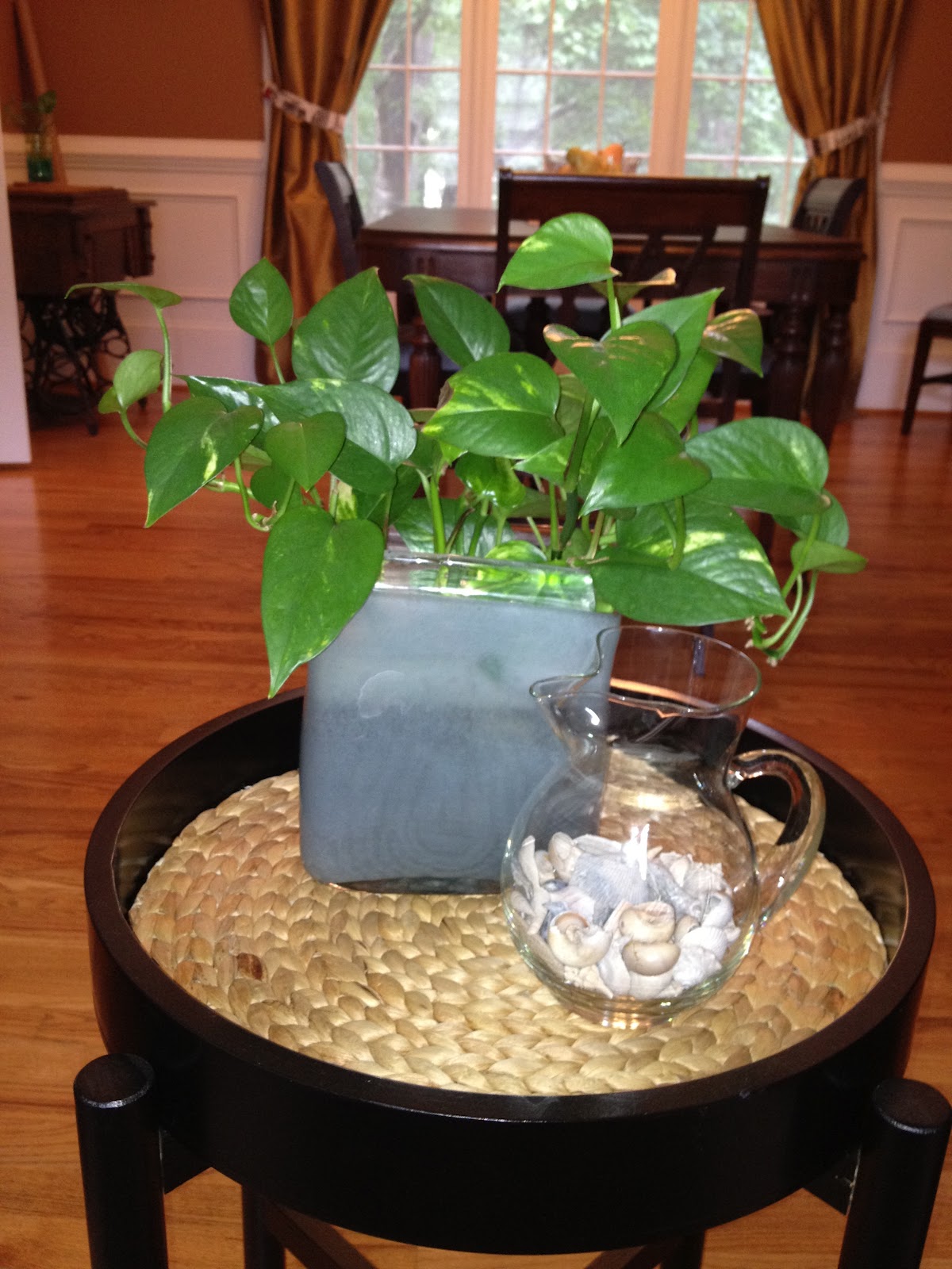 Several cuttings in a vase filled with rocks and water