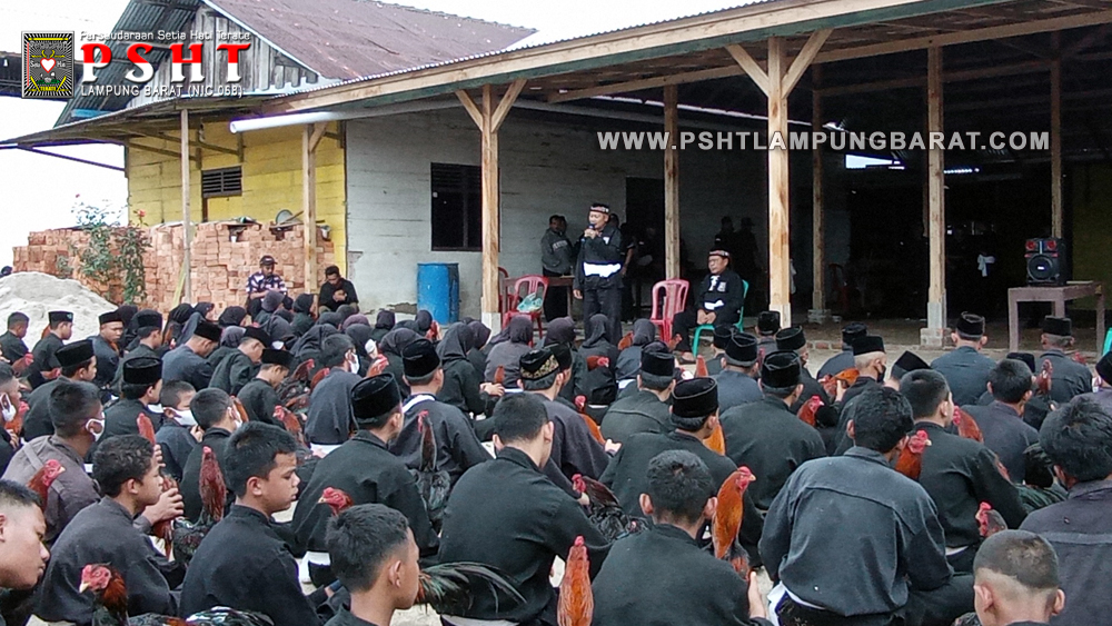 Tes Ayam Jago Calon Warga Baru PSHT di Padepokan Cabang Lampung Barat Tahun 2022