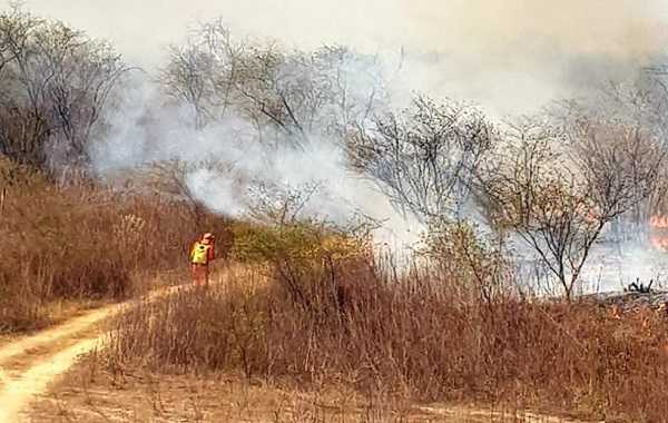   Incêndio atinge vegetação em Quixeramobim