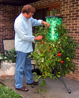 The Pros and Cons of the Topsy Turvy Tomato Planter