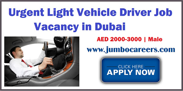 Light Vehicle Driver Job