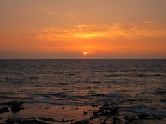 IMG_0612