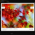 Cách sử dụng lightbox plugin