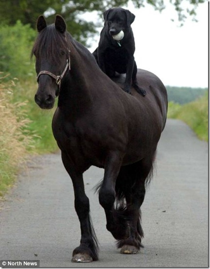 Monty takes Tyler for a ride.