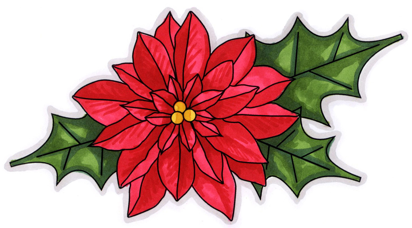 poinsettia clipart  Hostted