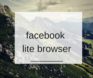 facebook lite browser