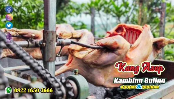 Kambing Guling Bandung,Kambing Guling,