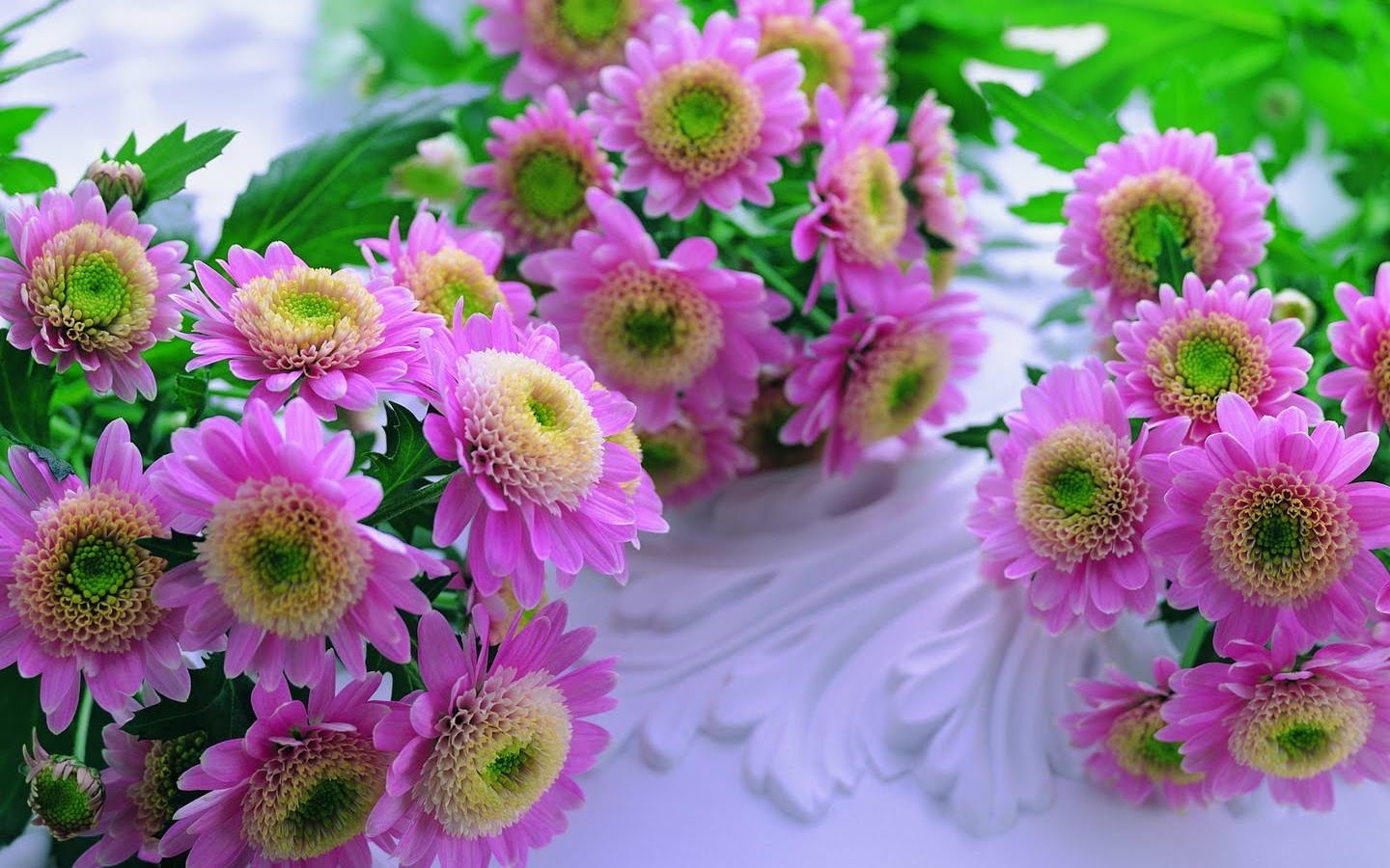 Maprox HD: 20 Beautiful Flowers Wallpapers ...