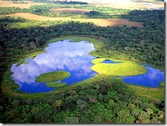 ORI 37 PANTANAL   DANIEL DE GRANVILLE