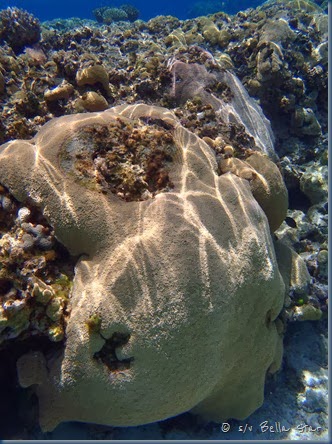 PB020817