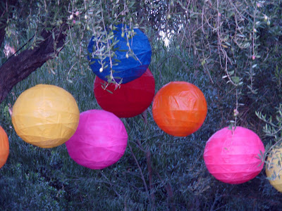 held at sunset under a canopy of silvery olive trees and paper lanterns
