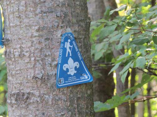 Midland to Mackinac Trail marker