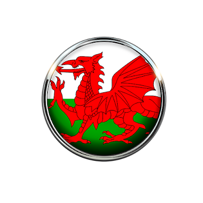 Welsh flag circle pic